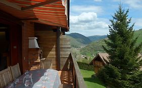 Fabulous Mountain View Chalet With Sauna In La Bresse